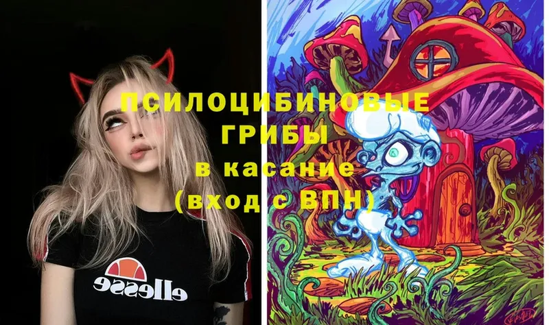 Псилоцибиновые грибы мицелий  ссылка на мегу ссылка  Белинский  наркотики 